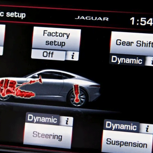 Jaguar - Configurable Dynamics - Activation